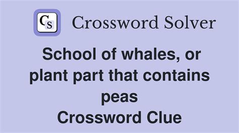 schools of whales crossword clue|school of whales crossword answer.